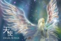 Ms Bling Chapter 3