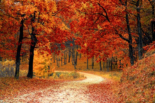False Nails - A Good Choice This Autumn