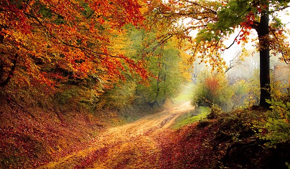 Autumnal Nails - What You Can Do